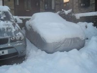car in a bag.JPG