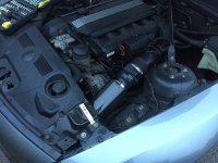 IMG_1518.JPG