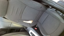 image.jpeg