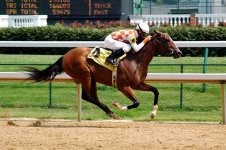 Horseracing_Churchill_Downs.jpg Horseracing_Churchill_Downs.jpg