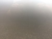 image.jpeg image.jpeg