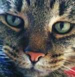 image.jpeg