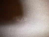 DSCN0619.JPG