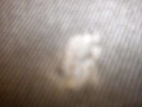 DSCN0621.JPG