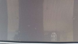 20160501_101132.jpg