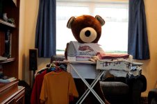 Ironing - Copy.jpg
