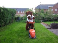 mower.JPG