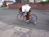 cycling.JPG