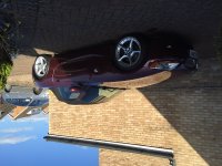 image.jpeg