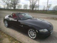 z4.jpg