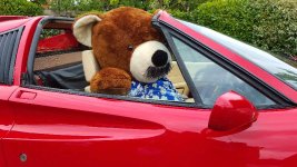 20160520_165938.jpg