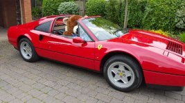 20160520_165924.jpg
