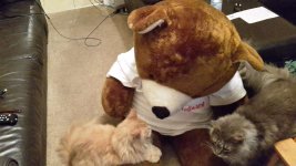 20160604_214808.jpg