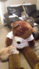 20160604_214835.jpg
