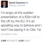 dodgy dave2.JPG