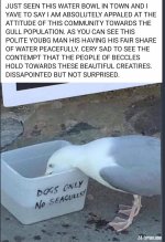 B06CA377-A03C-43CE-BB87-4F650EE1D428.jpeg