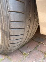 IMG_5942.jpeg
