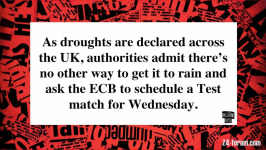 cricket.png