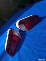 06A07443-CBA5-49FD-BBB4-E974A98C6042.jpeg