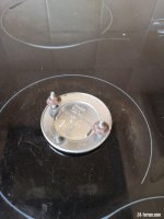 IMG_20220826_153254.jpg