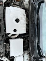 2138F0BF-EAEA-439D-90B2-9F0A70D64210.jpeg