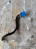 IMG_0308.jpeg