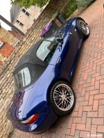 IMG_0449.jpeg IMG_0449.jpeg
