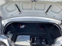 IMG_3975 Small.jpeg