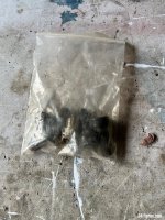 IMG_0698.jpeg