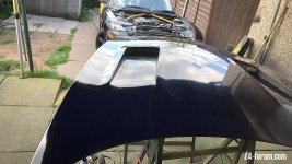 bonnet2.jpg