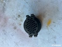 IMG_1031.jpeg
