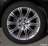 IMG_4519.jpg