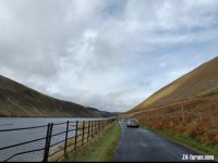 IMG_20221016_074912.jpg