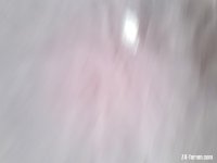 IMG_20221102_105450702.jpg