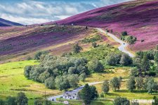 Cairngorms National Park Snow Road.jpg