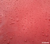 183D71D9-3D48-487A-8DF1-1701AFF35CCC.jpeg