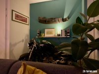 E306096F-F6FD-4F13-A2B9-1BC48F87BE93.jpeg E306096F-F6FD-4F13-A2B9-1BC48F87BE93.jpeg