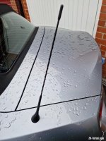 Z4 Aerial.jpg