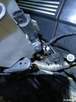 IMG20221204071333.jpg