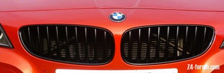 Revised Front Grill.JPG