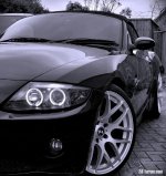 z4.jpg