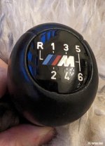 PXL_20230201_170022321.jpg