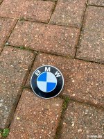 IMG_3112.jpeg
