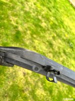 IMG_3094.jpeg