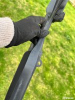 IMG_3095.jpeg