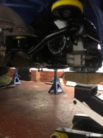 IMG_2862.jpeg