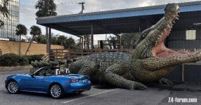 gator (2).jpg