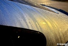 IMG_2330.jpeg