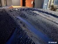 IMG_2331.jpeg