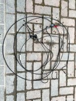 IMG_3733.jpeg